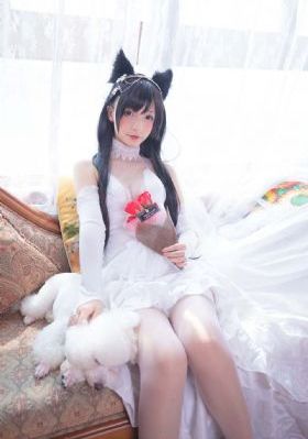 日本一本高清色道在线观看_剧情片高清完整版